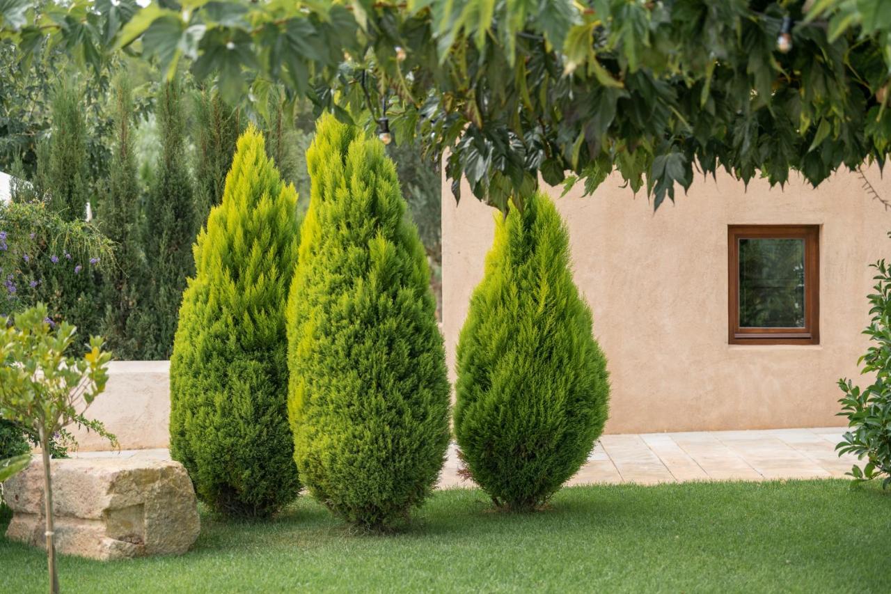Agroturismo Safragell Ibiza Suites & Spa Сан-Льоренс-де-Балафіа Екстер'єр фото